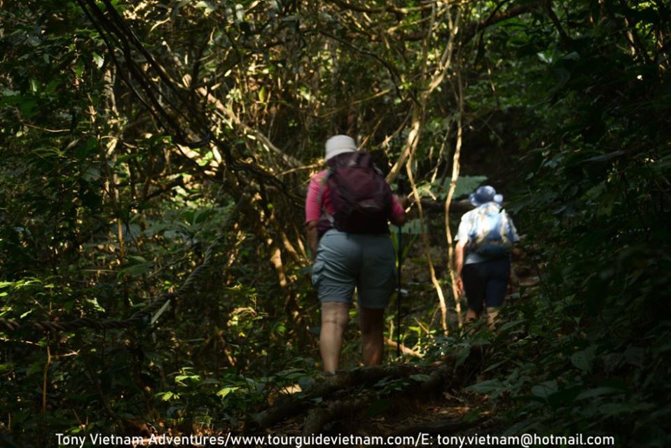 Cat Ba National Park Catba23 What to do in Cat Ba Island