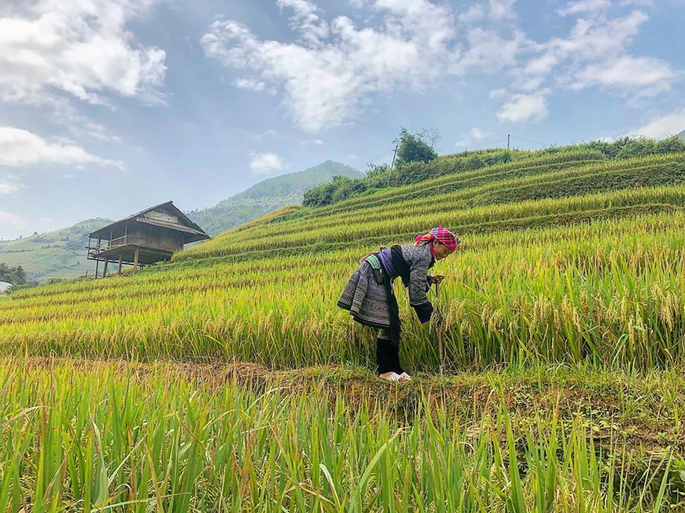 Best time to visit Mu Cang Chai Mucangchai4 What to see in Mu Cang Chai