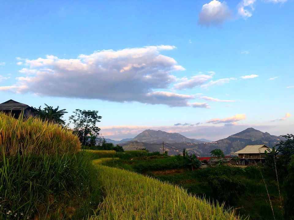 Ban Phung Village in Hoang Su Phi Hoangsuphi2 Phung Village in Hoang Su Phi Travel Guide
