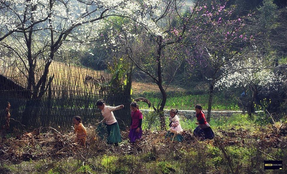 On Ha Giang Tour with Locals Tonyhagiang6 Ha Giang Tour with Locals