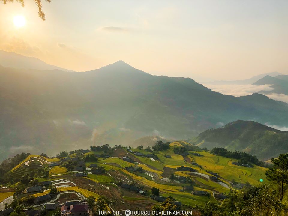 bản phùng hoàng su phì mùa lúa chín bản phùng hoàng su phì mùa lúa chín
