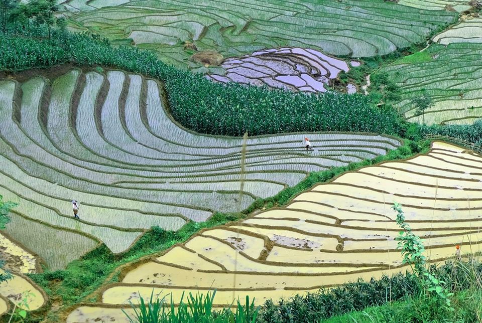 Mu Cang Chai Tour from Hanoi Nuocdo 1 Mu Cang Chai Tour Places to Visit