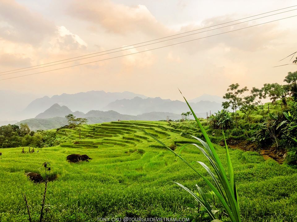 P lu ng Thanh H a kinh nghi m du l ch photo Puluongtour P lu ng Thanh H a kinh nghi m du l ch