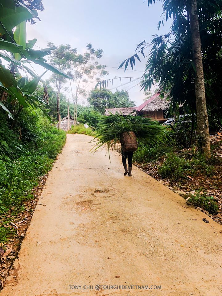 lối nhỏ vào bản làng cùng hòa nhịp với dân bản địa là người Thái Puluongtour1 P lu ng Thanh H a kinh nghi m du l ch