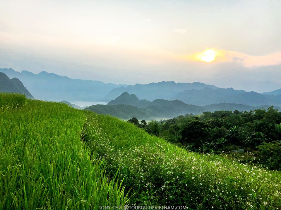 ruộng bậc thang mùa lúa trên pù luông Puluongtour3 P lu ng Thanh H a kinh nghi m du l ch