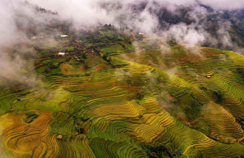 Rice terraced fields in Sapa Rice 15 Beautiful Places To Visit In Vietnam