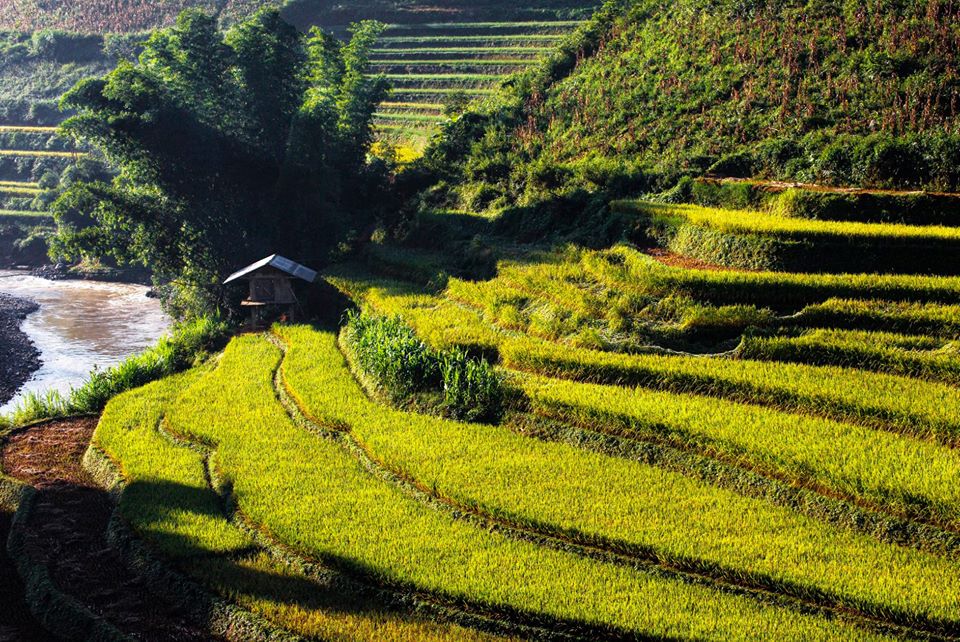 Rice terraced fields in Sapa places to visit in North Vietnam Rice terraced fields in Sapa places to visit in North Vietnam