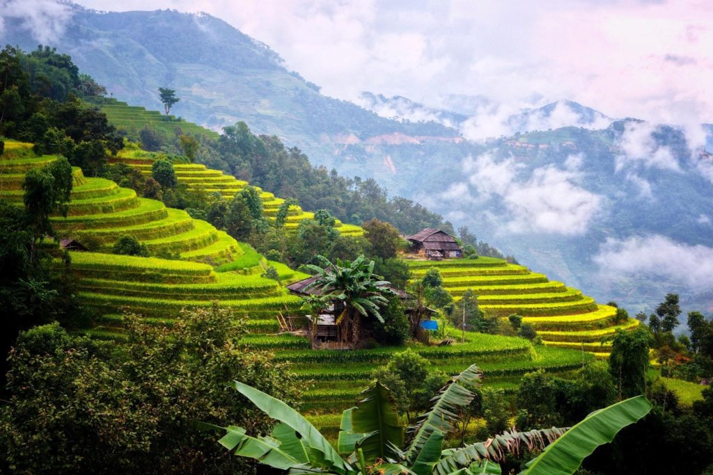 beautiful rice fields Ha Giang Photo 9 14 19 20 47 31 1024x683 Ha Giang loop tour amazing 5 days