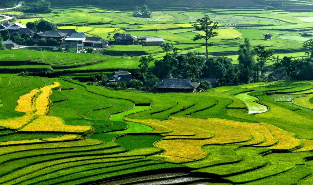 Places to Visit In Vietnam with Private Guides photo Photo 9 12 19 16 00 46 1024x608 Places to Visit In Vietnam with Private Guides