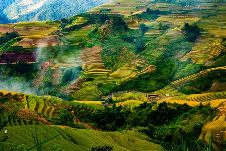 Highlight Northern Vietnam Loop Tour | Tour Guide Vietnam