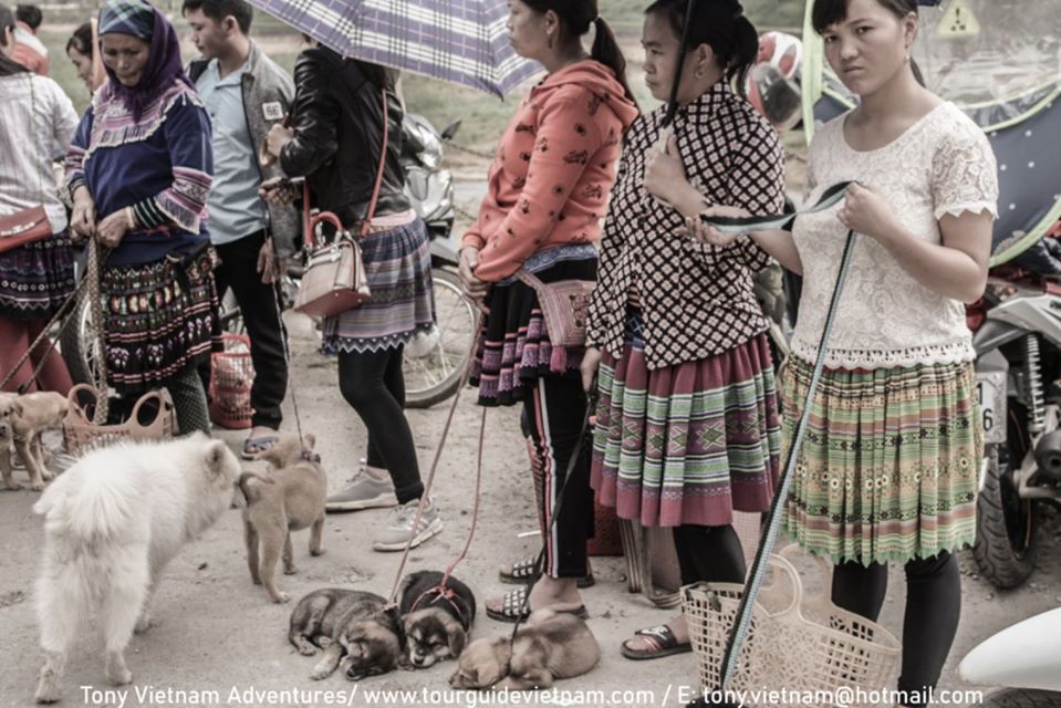 Bacha13 photo Bacha13 Bac Ha Market Guide on Sunday