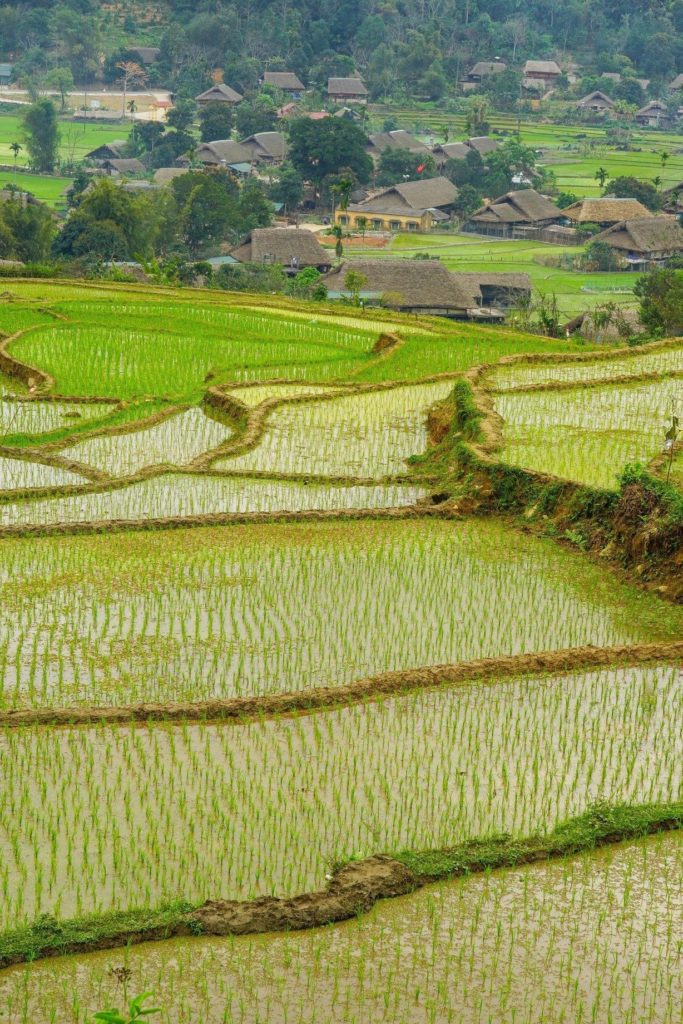 visit local village on the Northern Vietnam loop Photo 4 27 20 07 01 28 1 683x1024 Northern Vietnam Tour 6 Days