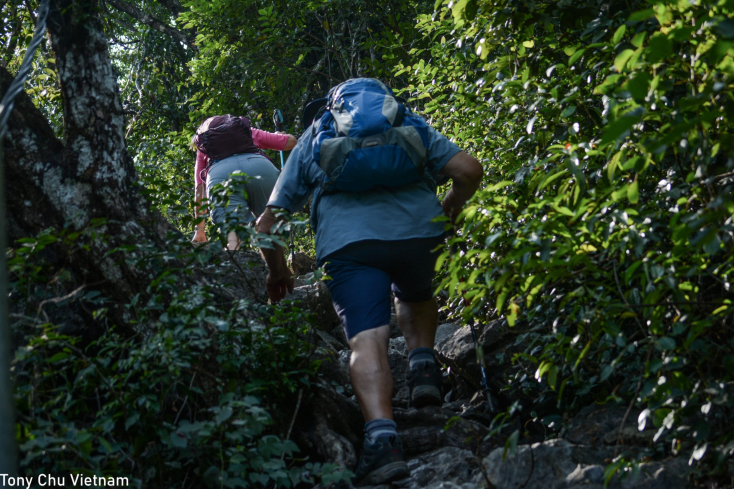 tony vietnam adventures with local guide