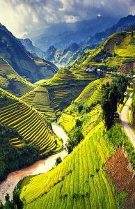 Vietnam Tours with Local Guides photo Photo 4 29 20 21 12 32 194x300 Vietnam Tours with Local Guides