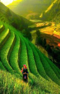 Vietnam Tours with Local Guides photo Photo 5 1 20 07 43 44 1 192x300 Vietnam Tours with Local Guides