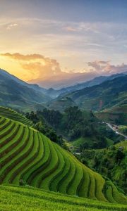 Vietnam Tours with Local Guides photo Photo 5 1 20 08 34 04 180x300 Vietnam Tours with Local Guides