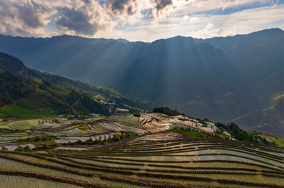 Sapa rice terraced fields Rice terraced fields Northern Vietnam Tour Package