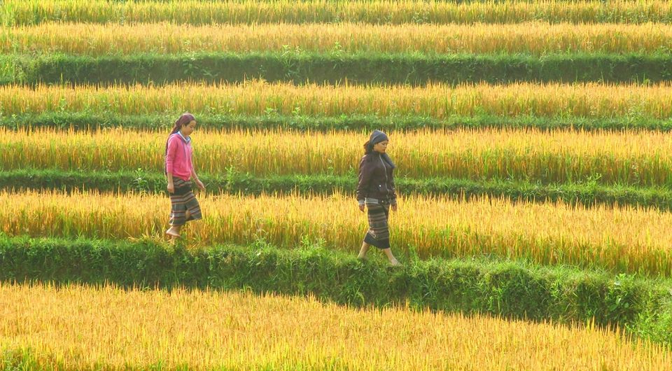 Top places to visit in Northern Vietnam Top places to visit in Northern Vietnam