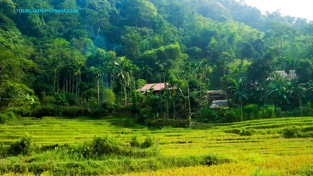 5 day tour north vietnam off the beaten track Mai chau tour 1 1024x576 5 day tour around North Vietnam Off the beaten track
