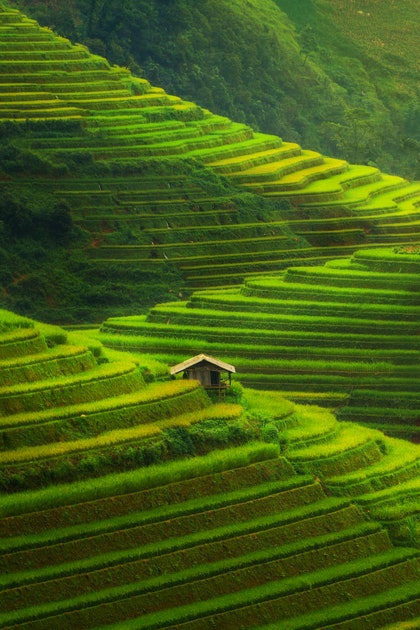 mu cang chai rice terraced fields Mu cang chai road trip The Perfect 3 day road trip Hanoi to Mu Cang Chai