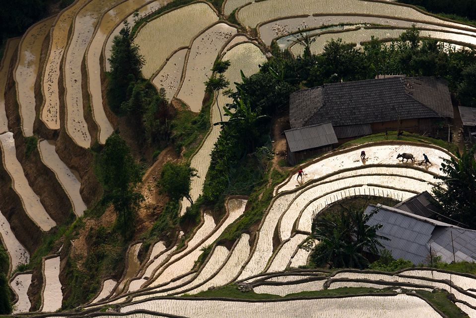 When to Trek in Sapa Tours from Hanoi Sapa trekking Sapa Tours from Hanoi Guide