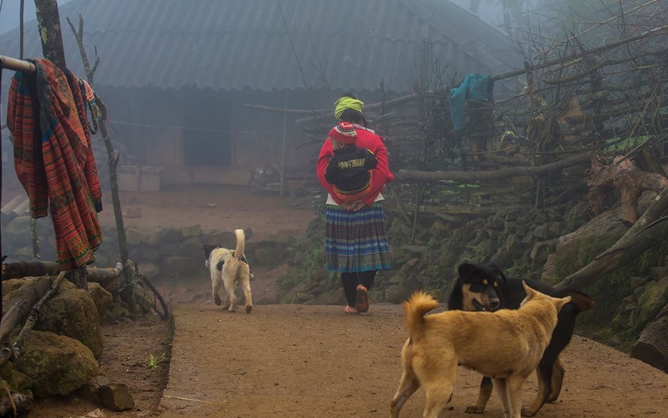Trekking on the trail in village Lehuy454 Sapa Tours from Hanoi Guide