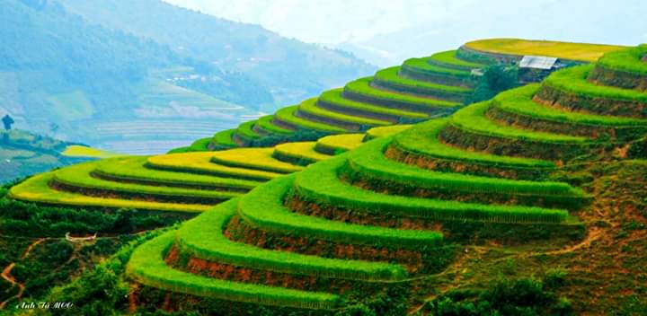 amazing place on vietnam trip by car Rice terraces Vietnam road trip by car from Hanoi to Ho Chi Minh