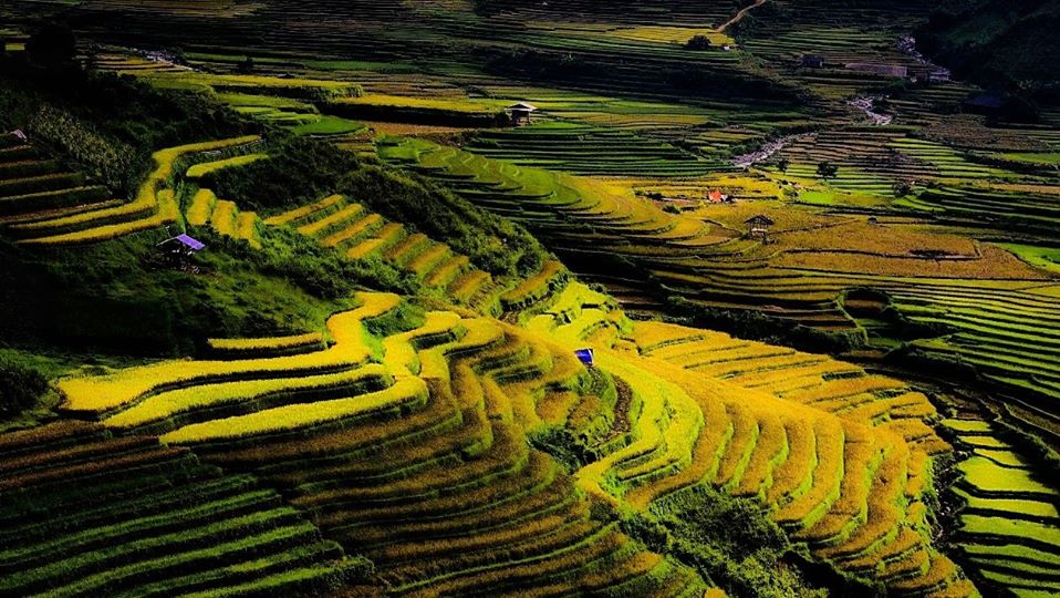 Thửa ruộng bậc thang pù luông thanh hóa Ricetour P lu ng Thanh H a kinh nghi m du l ch