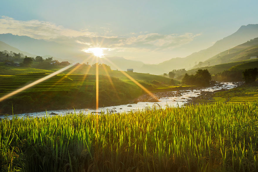 Những cánh đồng lúa bậc thang đẹp đến ngẩn ngơ tại Việt Nam sẽ khiến bạn muốn đến thăm và khám phá quốc gia này ngay lập tức. Hãy cùng chiêm ngưỡng hình ảnh đẹp như tranh vẽ của những cánh đồng lúa bậc thang tại Việt Nam để thưởng thức vẻ đẹp tự nhiên tuyệt vời này.
