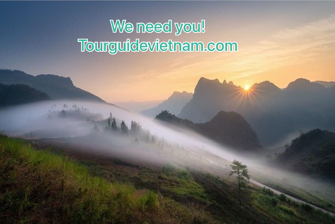 Careers | Vietnam Travel 2024/25 Cộng Tác Viên Hướng Dẫn Viên Tiếng Anh